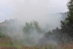 ??????? ????? ???-2? ?? 10 ??