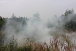 ??????? ????? ???-2? ?? 10 ??