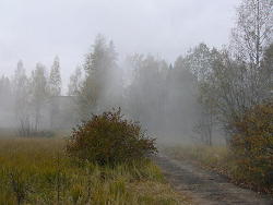 ??????? ????? ??-11 ?? 10 ??